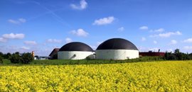 Biomasse håndtering og Biogas