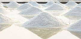 Salt produktion
